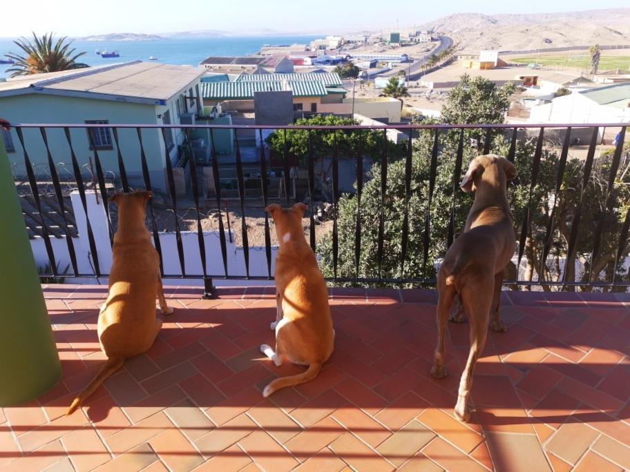 Zur Waterkant Guesthouse Lüderitz Eksteriør billede